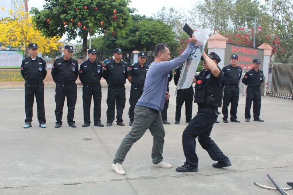 图3 “应对刀斧砍杀”实战示范