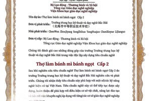 职业教学标准输出：制订越南国家职业教育《糕点面包烘焙工2级》教学标准