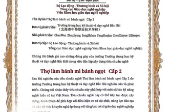 职业教学标准输出：制订越南国家职业教育《糕点面包烘焙工2级》教学标准